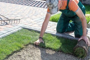 mantenimiento de jardines en boadilla del monte