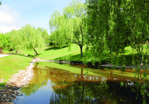 Mantenimiento de jardines en Alcobendas por Jardinería Arizónica